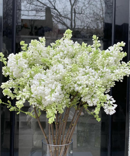 【等待爱情】丁香花 白色  若干枝/扎 商品图1