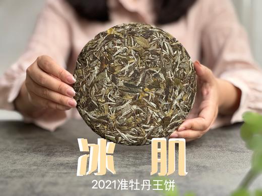 连续7年春茶饼排名榜首的准牡丹王饼，2021准牡丹王饼《冰肌》（1饼装），清丽高雅似荷，汤水干净、清透，带着清冽空灵的风味。 商品图0