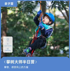 杭州 | 攀树大师・2024清明