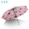 天堂伞 三折晴雨伞 30998E银莲 商品缩略图5