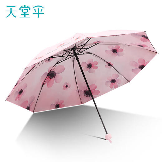 天堂伞 三折晴雨伞 30998E银莲 商品图5