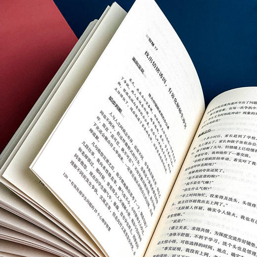 有效处理学生问题的25个心理学智慧 大夏书系 教师读物教育心理 李进成 商品图11