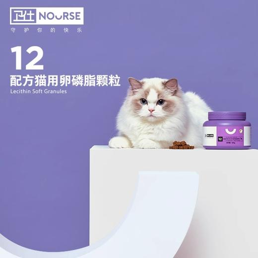 卫仕猫咪专用美毛卵磷脂布偶爆毛鱼油宠物猫用软磷脂 商品图1