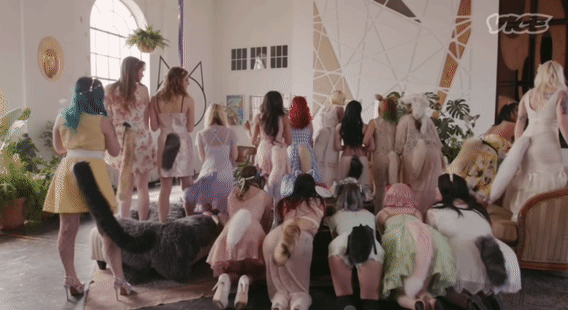  猫奴狂喜！一群人形猫女对你喵喵叫，这样的猫咖你想去吗？ 