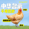 蛋鲜森 金奖肥西老母鸡 1只装 商品缩略图2