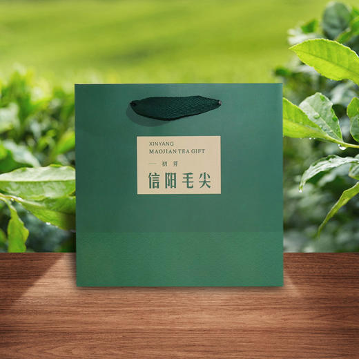 初芽毛尖套装【绿.半斤装.1提2个二两半听】3.8元1套.整箱100套 商品图1