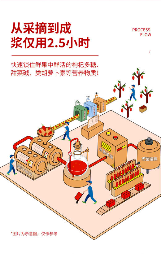 沃福百瑞红参枸杞饮品 商品图9