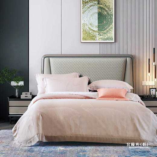 鑫缘 柔爽天丝提花四件套 DXC6418 商品图1