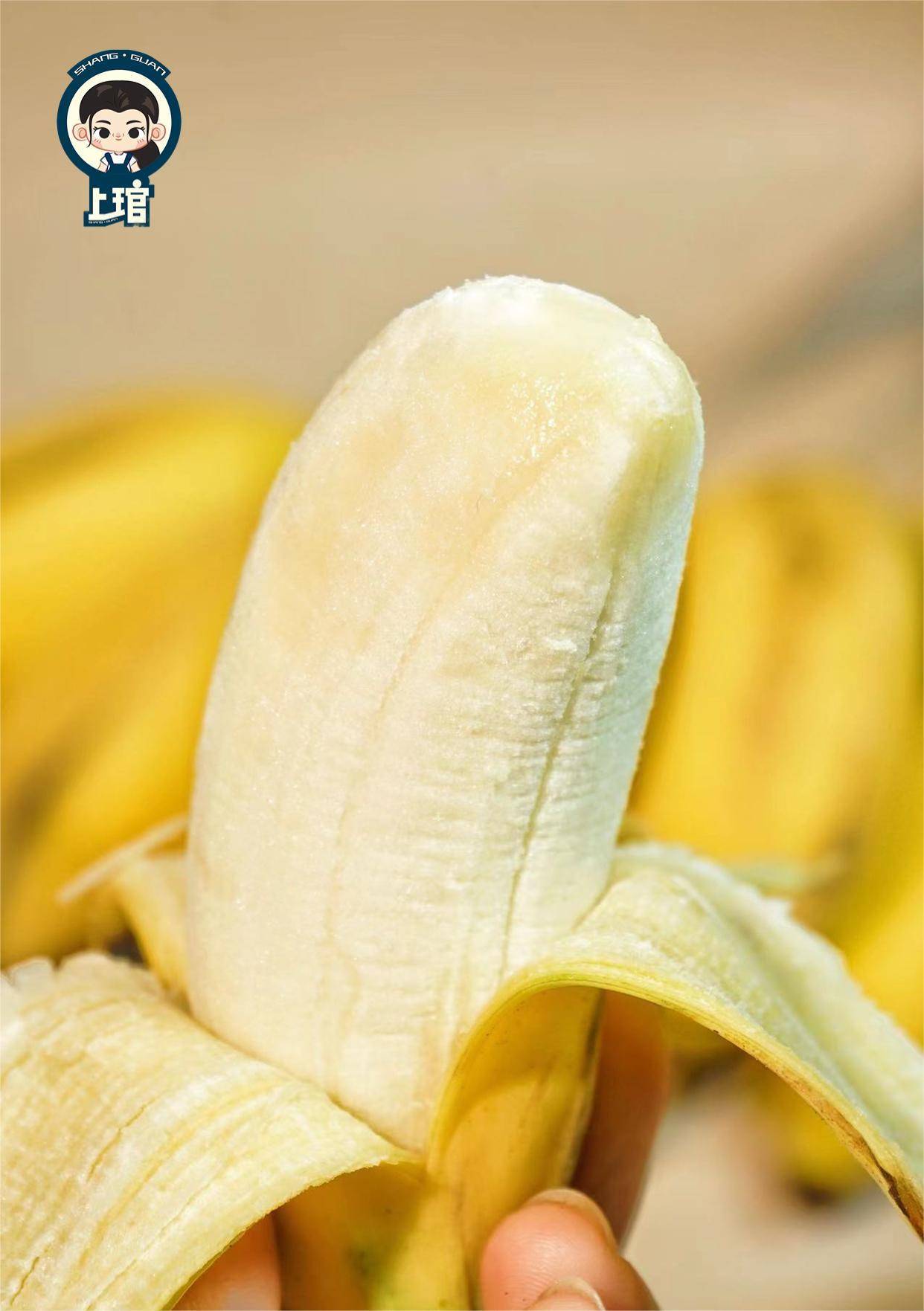 【福建小胖蕉】更香更甜更软糯更绵密，不催熟，不喷药，更不用担心保鲜剂-CC