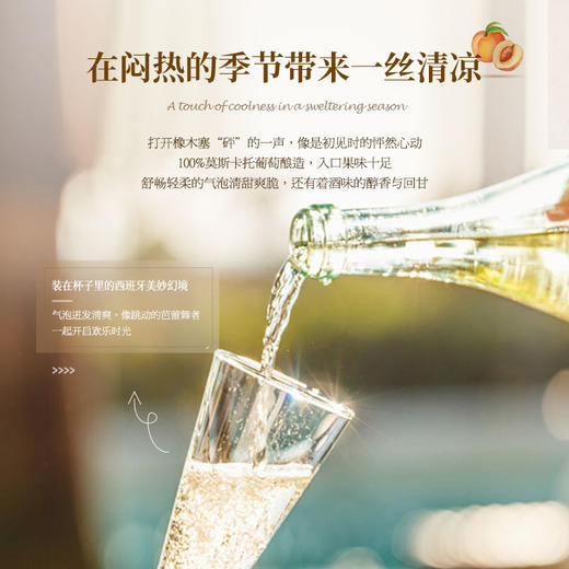 【5项金奖加持】富铂甜型起泡酒葡萄酒 西班牙拉曼恰法定产区 7%vol 商品图8