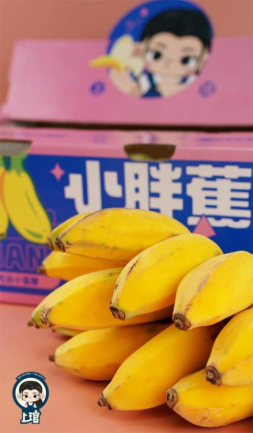 【福建小胖蕉】更香更甜更软糯更绵密，不催熟，不喷药，更不用担心保鲜剂-CC 商品图10