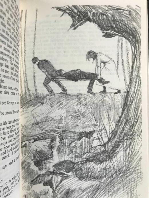 D.H.劳伦斯《白孔雀》（1968） 8幅插图 苍鹭出版社（HeronBooks）复古仿皮精装本 商品图9