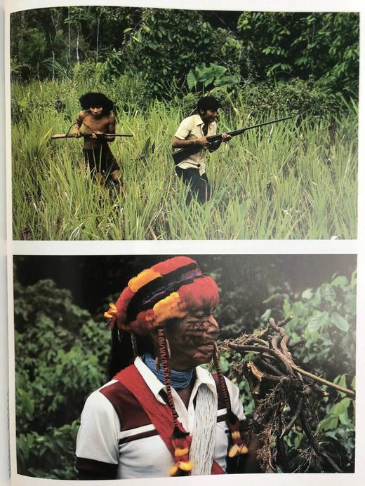 雅克·库斯托的亚马逊之旅 250余幅彩色插图 精装大16开 商品图7