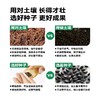 作物生长盆栽产品系列 商品缩略图7