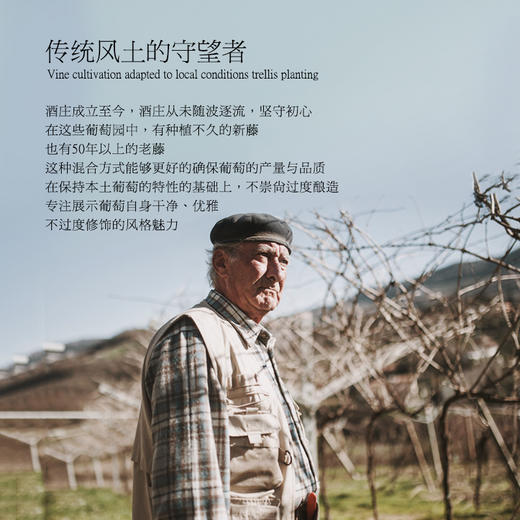 【连续4年荣获7项荣誉】勒普雷尔阿玛罗尼红葡萄酒 意大利阿玛罗尼DOCG 15%vol 商品图6