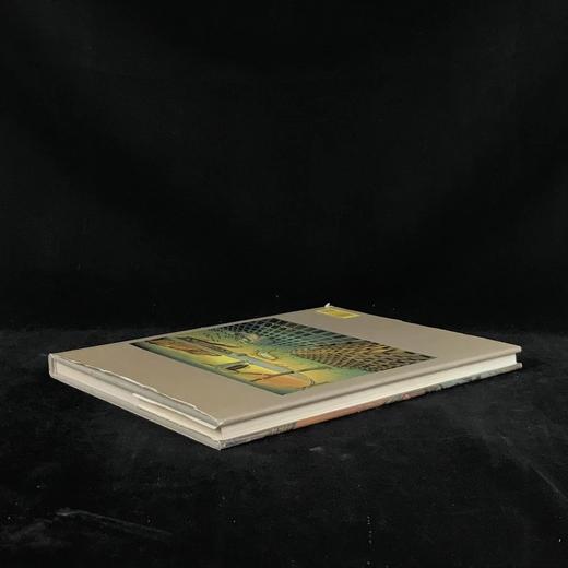 达利画集 数百幅彩色插图 精装大16开 商品图2