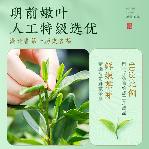 2024新茶恩施玉露早春明前特级优选 高山富硒绿茶罐装100g CM 商品图2