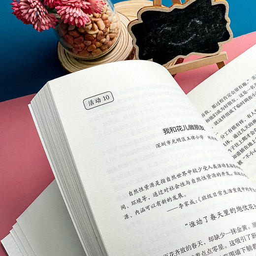 班级真活动 学生真发展 新基础教育指导下小学班级活动26例及评析 大夏书系 全国中小学班主任培训用书 商品图10