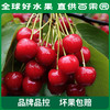 PAGODA百果园 烟台美早大樱桃（J）2斤彩箱装 商品缩略图3