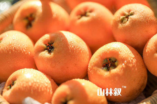 水润多汁｜十分熟蜜露枇杷💛 商品图1