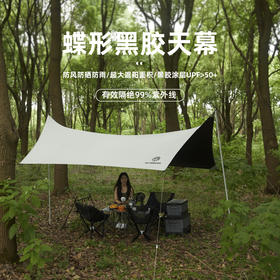 错山黑胶天幕B-01