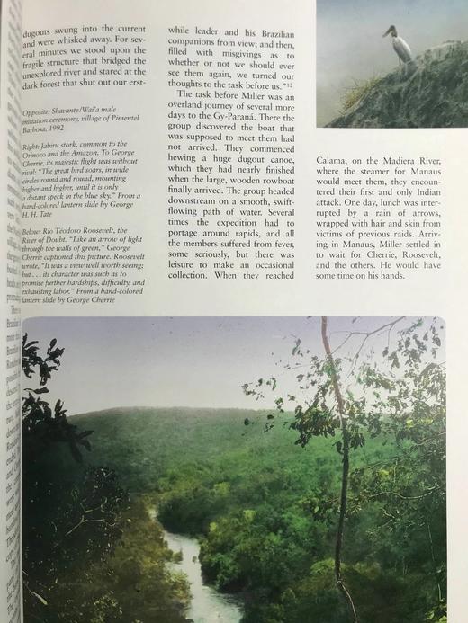 美国自然历史博物馆：125年探险与发现 248幅插图（90幅彩色） 精装大16开 商品图14