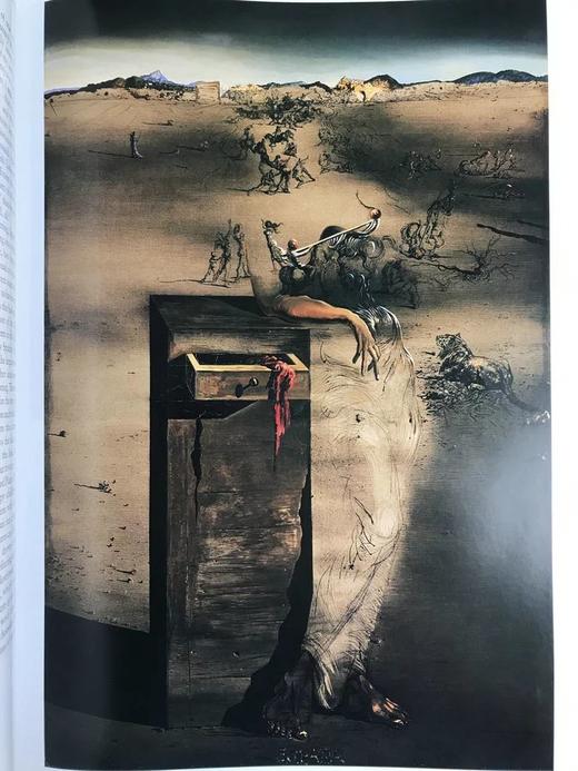 达利画集 数百幅彩色插图 精装大16开 商品图7