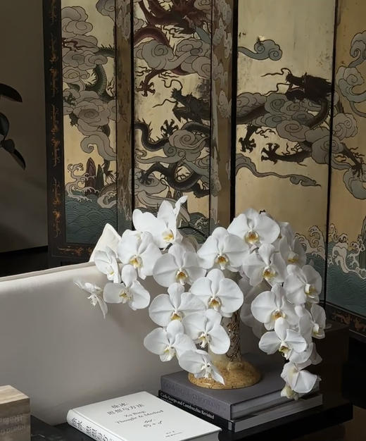 【幸福的来临】进口高质感--白蝴蝶兰  约6-7朵 商品图13