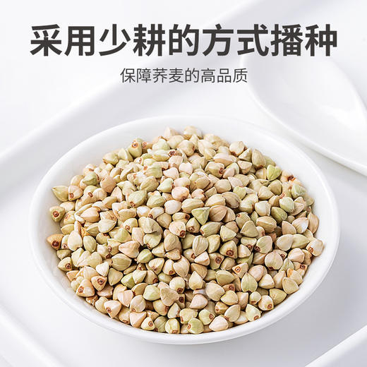 有机荞麦米450g/米砖 商品图5