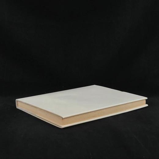 米开朗基罗作品赏析 134幅插图（48幅彩色） 精装大16开 商品图2