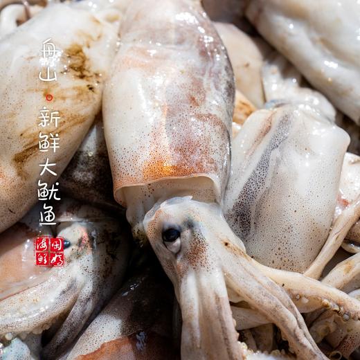 【闹妈海鲜】 [热气]舟山东海大鱿鱼 物美价廉，各种规格任选 商品图1