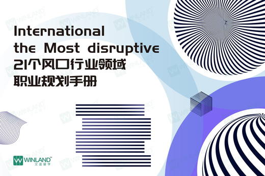 文蓝-2024最具颠覆性行业职业报告（PDF版） 商品图0