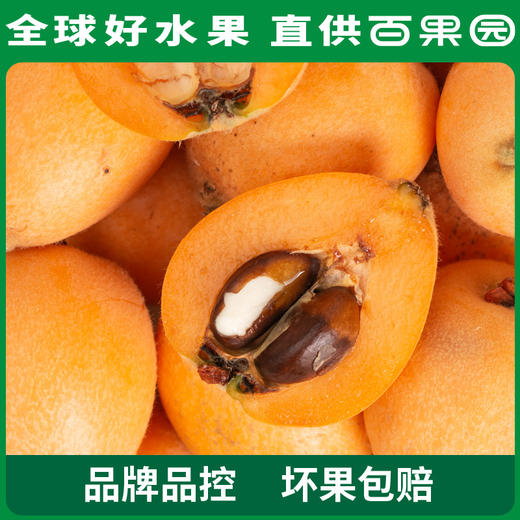 PAGODA百果园 米易枇杷（大）5斤彩箱装 商品图3