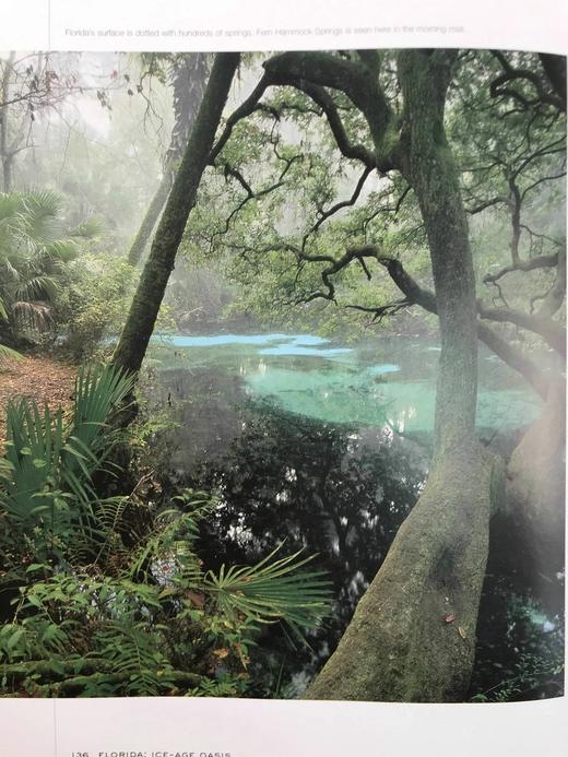 史前美国：穿越冰河时代及其后的旅程 约百幅插图 精装16开 商品图7