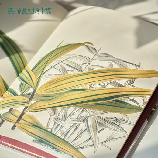 【商务印书馆涵芬文创】科普笔记本（1本） 商品图4
