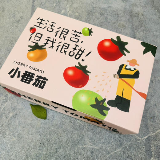 玲珑千禧小番茄，肉厚皮薄，咬一口，清甜的果汁马上喷涌而出。浓郁原始又清爽的番茄滋味爽口又怡人～好吃！停不下来！ 商品图3