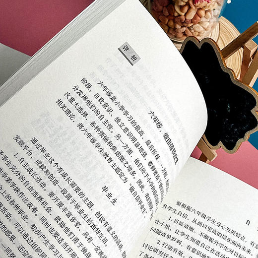 班级真活动 学生真发展 新基础教育指导下小学班级活动26例及评析 大夏书系 全国中小学班主任培训用书 商品图9