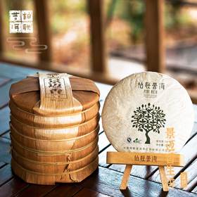 柏联普洱中期茶10年以上景迈香 生茶 普洱茶饼茶生普茶 500g