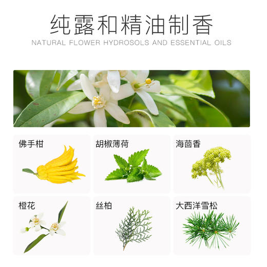 洄｜海盐深藻沐浴露 500ml/瓶 商品图3