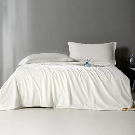 红秀世纺  抗菌天然纯蚕丝被200*230cm