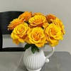 【金碧辉煌】玫瑰-黄色系 10枝 | 新客福利 商品缩略图0