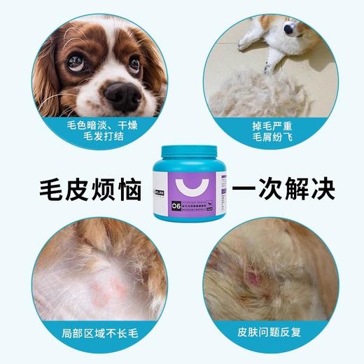 卫仕卵磷脂宠物犬美毛粉泰迪鱼油软磷脂爆毛海藻粉 商品图1