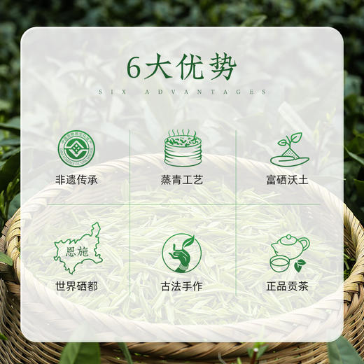 2024新茶恩施玉露早春明前特级优选 高山富硒绿茶罐装100g CM 商品图1