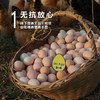 蛋鲜森 金奖肥西土鸡蛋30枚 1200g 商品缩略图2