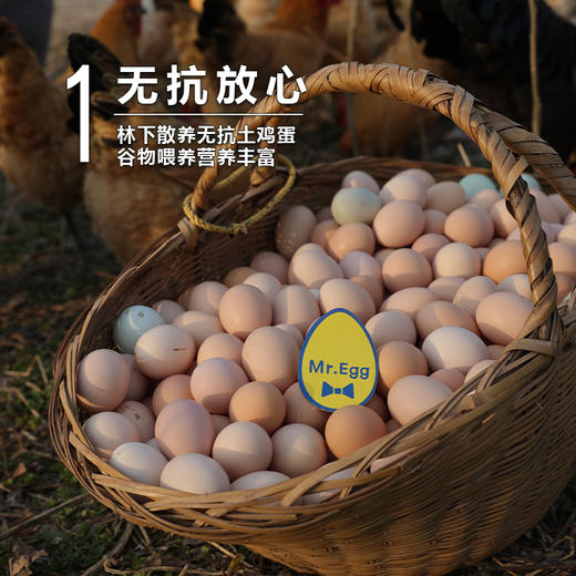 蛋鲜森 金奖肥西土鸡蛋30枚 1200g 商品图2