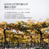 【连续4年荣获7项荣誉】勒普雷尔阿玛罗尼红葡萄酒 意大利阿玛罗尼DOCG 15%vol 商品缩略图9