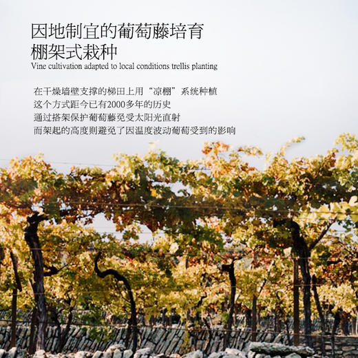 【连续4年荣获7项荣誉】勒普雷尔阿玛罗尼红葡萄酒 意大利阿玛罗尼DOCG 15%vol 商品图9