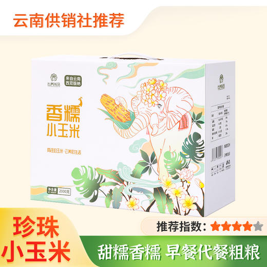 【云养尚品】西双版纳香糯小玉米 精品礼盒装 非转基因无添加 商品图0