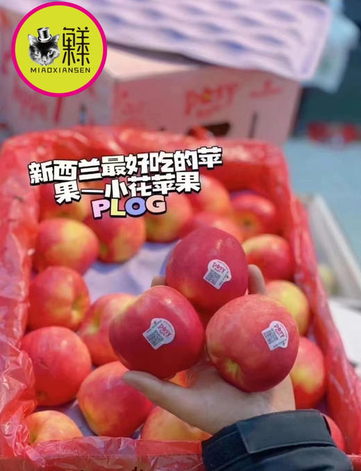 礼盒💝新西兰🇳🇿小花火箭苹果5桶×5枚 商品图4