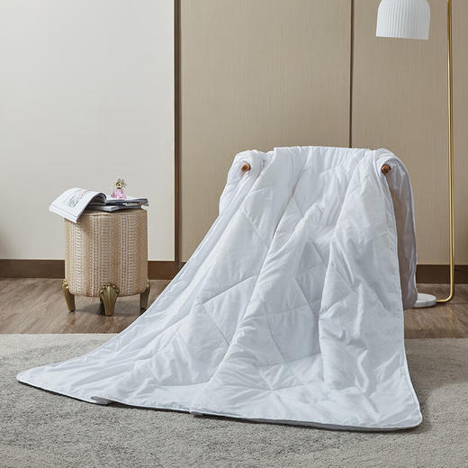 罗莱LOVO 佳美抗菌蚕丝被VQS-2020-5 商品图1